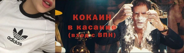 стафф Михайлов