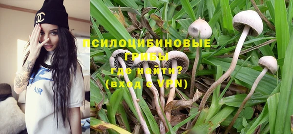 стафф Михайлов