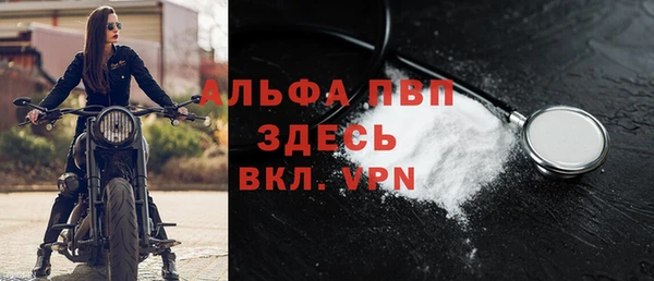 стафф Михайлов