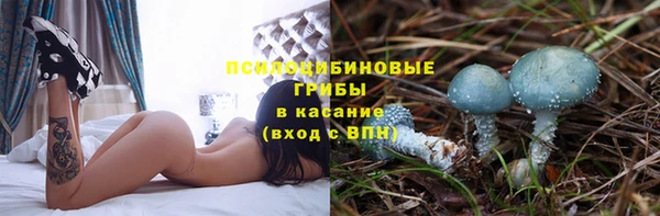 стафф Михайлов