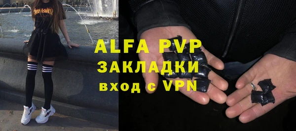 стафф Михайлов