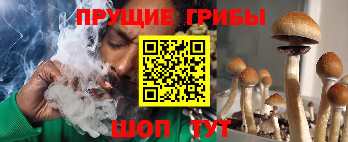 Петровск  Псилоцибиновые грибы Magic Shrooms  наркошоп  Вход с VPN 
