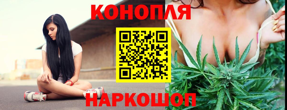 Конопля план Петровск